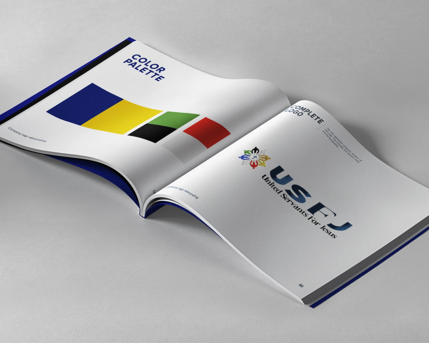 Kaltech Consultancy's USFJ Portfolio project detail image 3